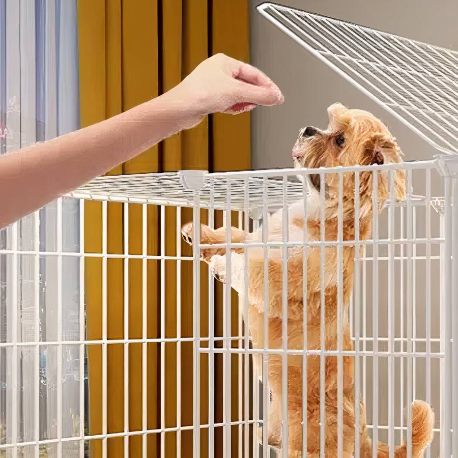 White Double Door Dog Playpen Fence Pet Enclosure