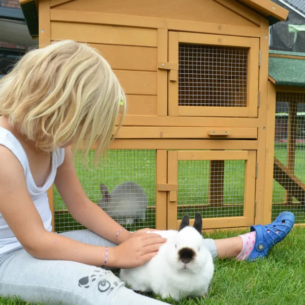 Rabbit Hutch Cage with Run Enclosure 57x21x34 inch Outdoor Bunny Hutch Villa