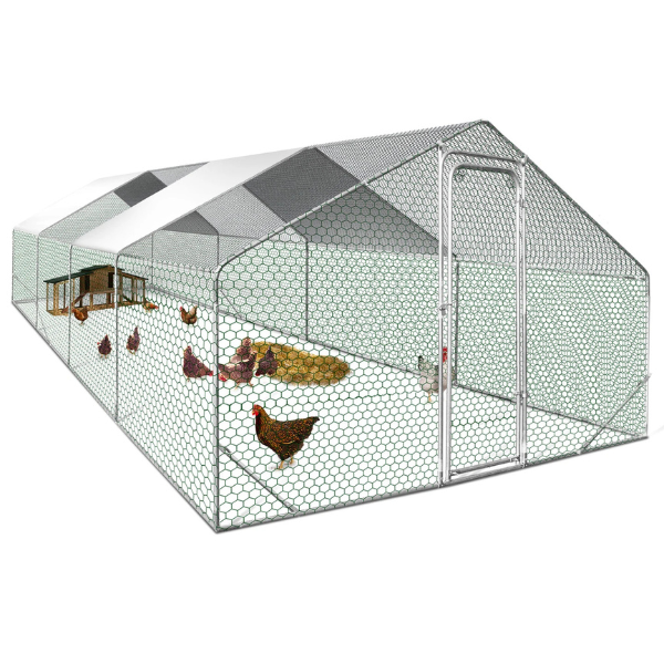 Chicken Coop Run 258 Sq Ft Chicken Enclosure Galvanized Steel Backyard Poultry Pen