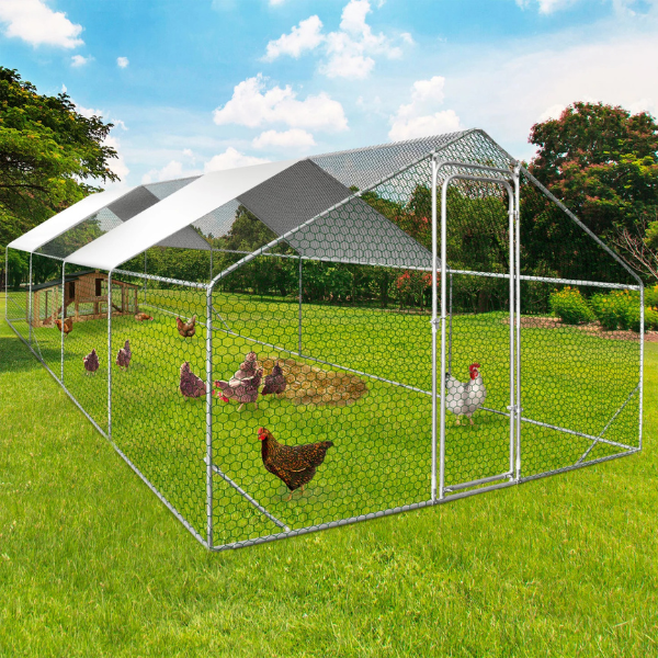Chicken Coop Run 258 Sq Ft Chicken Enclosure Galvanized Steel Backyard Poultry Pen