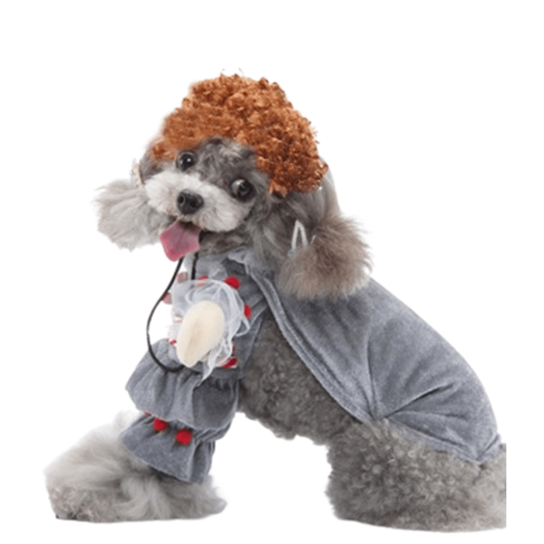 Flu Virus Pet Costume for Cats and Dogs Influenza Outfit Halloween Pet Apparel