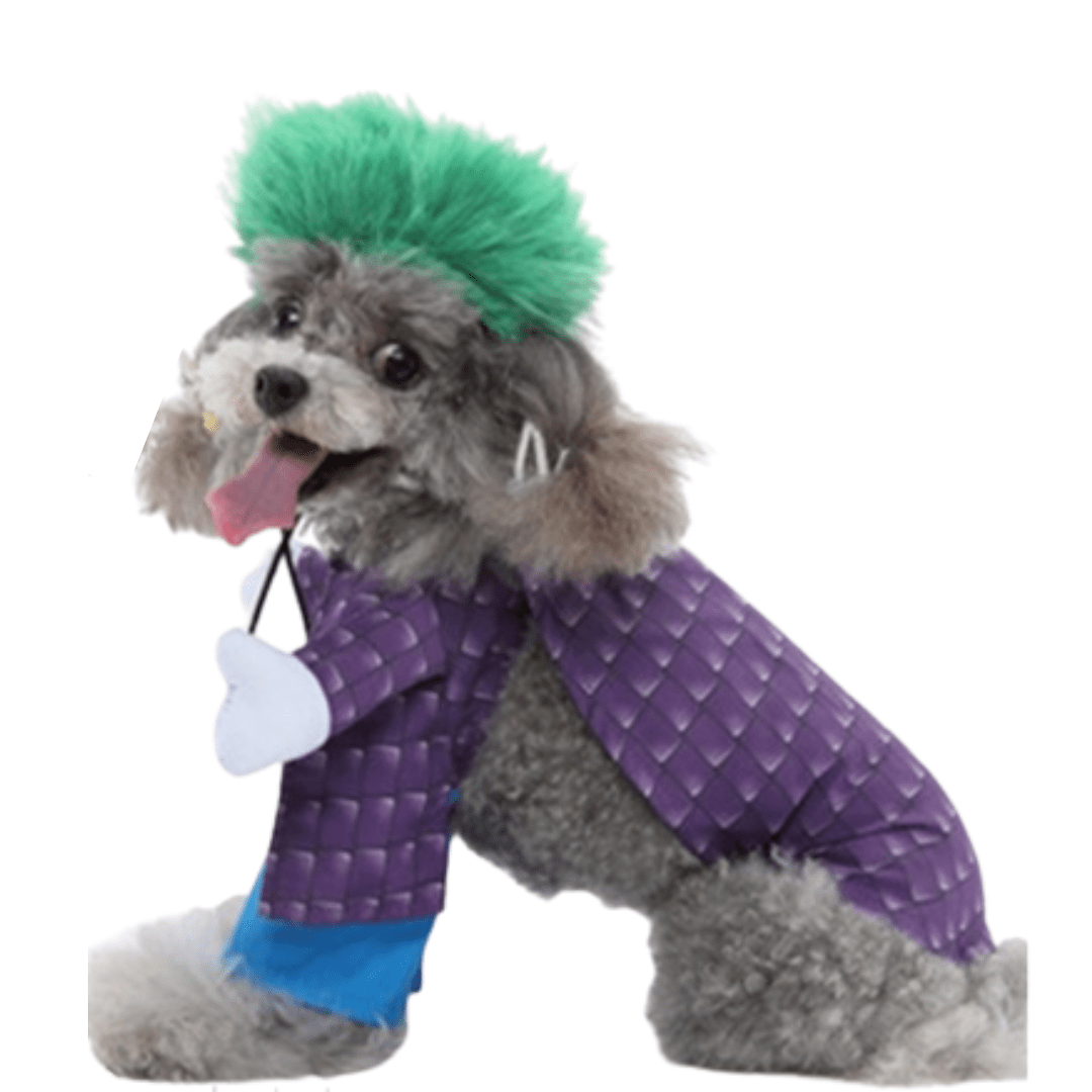 Pet Costume for Cats and Dogs Joker Outfit