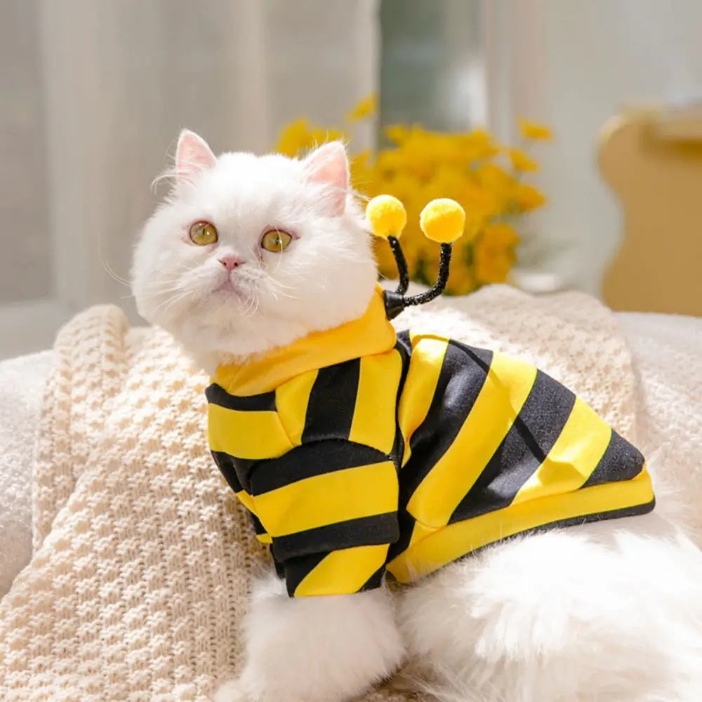 Cute Hoodie Cat Costume for Kids and Adults Animal Onesie Pajamas
