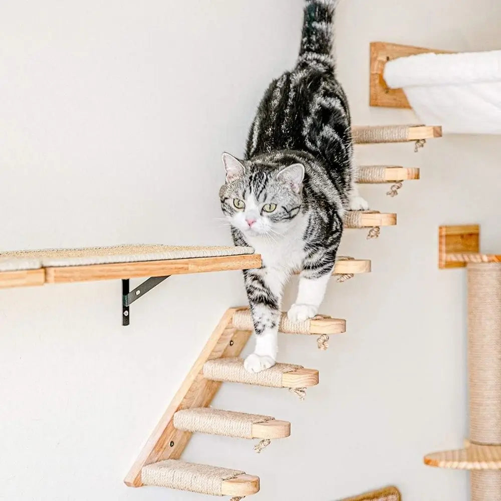 Cat Staircase Pet Steps for Cats and Small Pets
