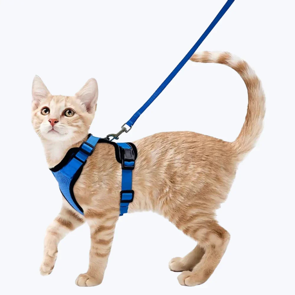 Escape Proof Cat Harness Adjustable No Escape Kitten Harness with Leash