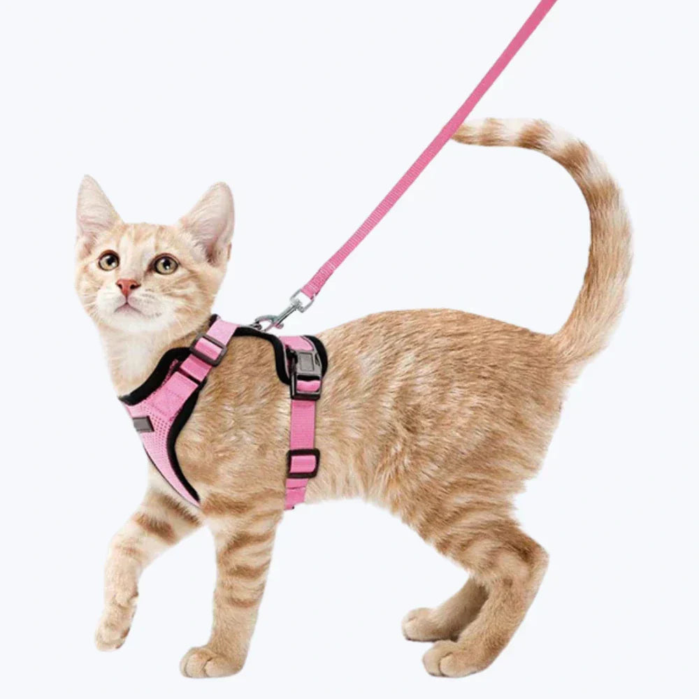 Escape Proof Cat Harness Adjustable No Escape Kitten Harness with Leash