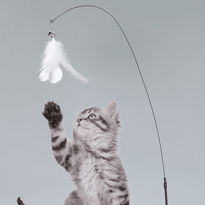 Cat Fishing Toy with Suction Cup Interactive Cat Wand Toy for Cats