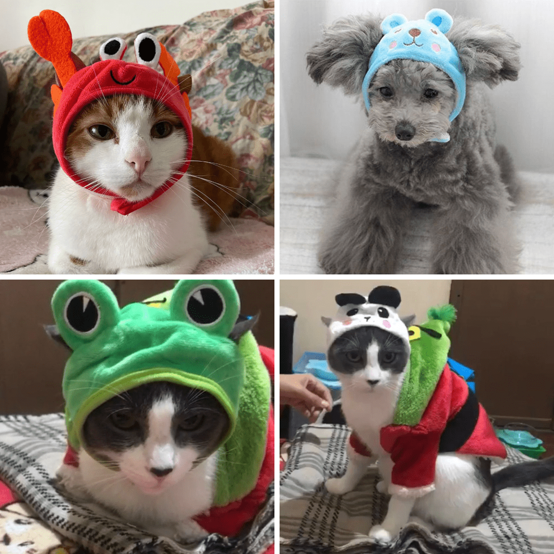Animal Shaped Cat Hat Cute Pet Costume Headwear for Cats