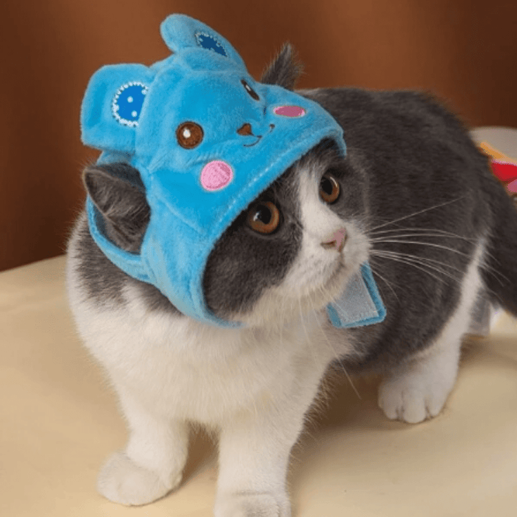 Animal Shaped Cat Hat Cute Pet Costume Headwear for Cats