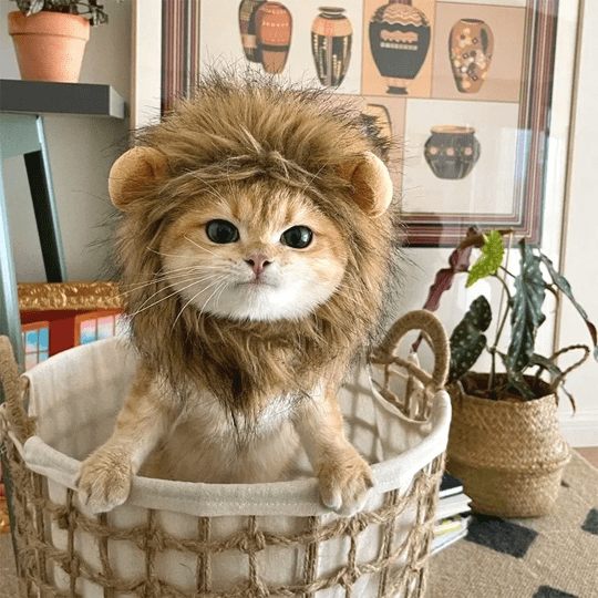 Lion Mane Wig Cat Costume Pet Halloween Dress Up