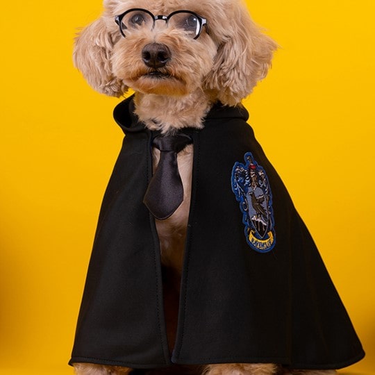 Harry Potter Cape Costume for Cats and Dogs Pet Dress Up