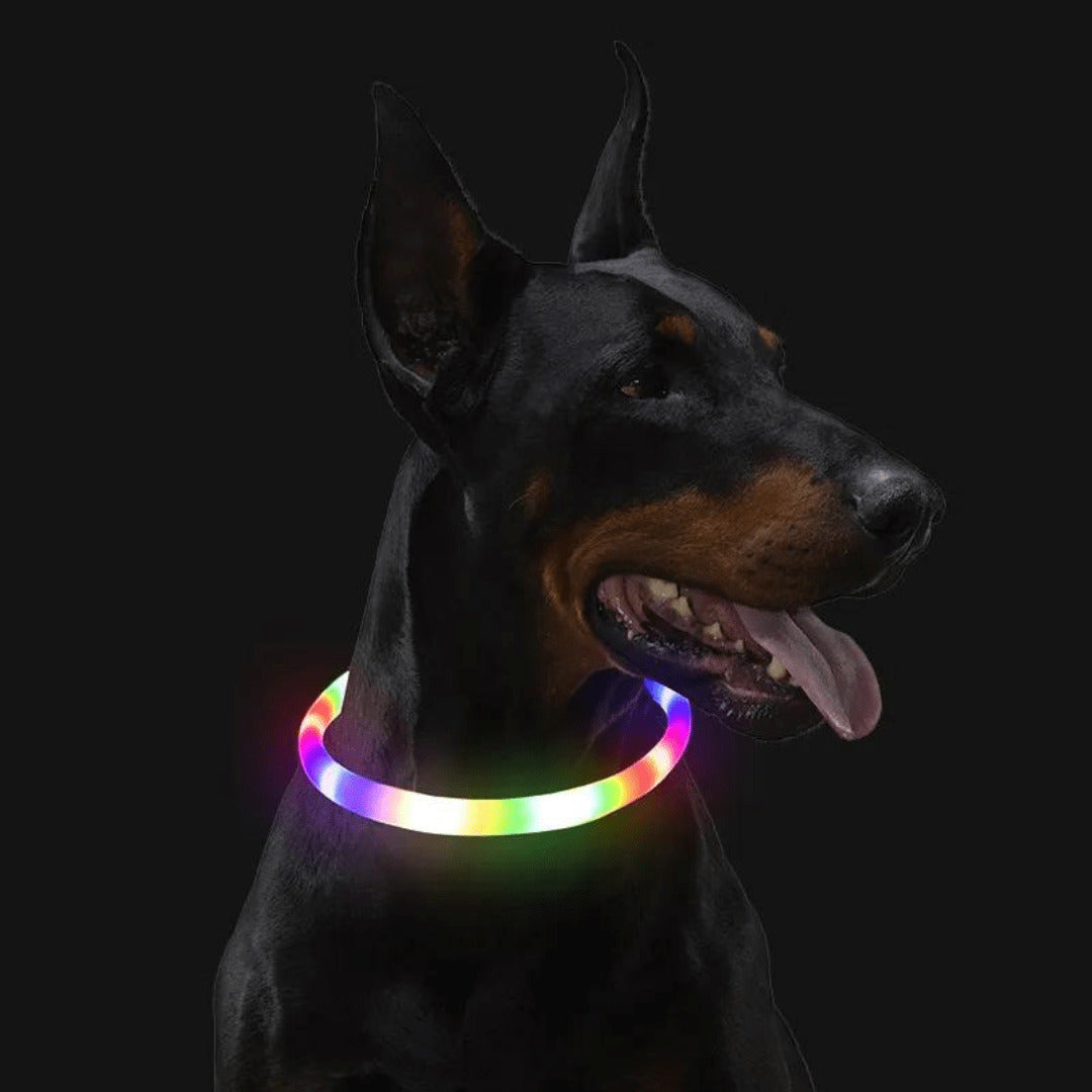 LED Dog Collar Rechargeable Light Up Safety Collar for Dogs