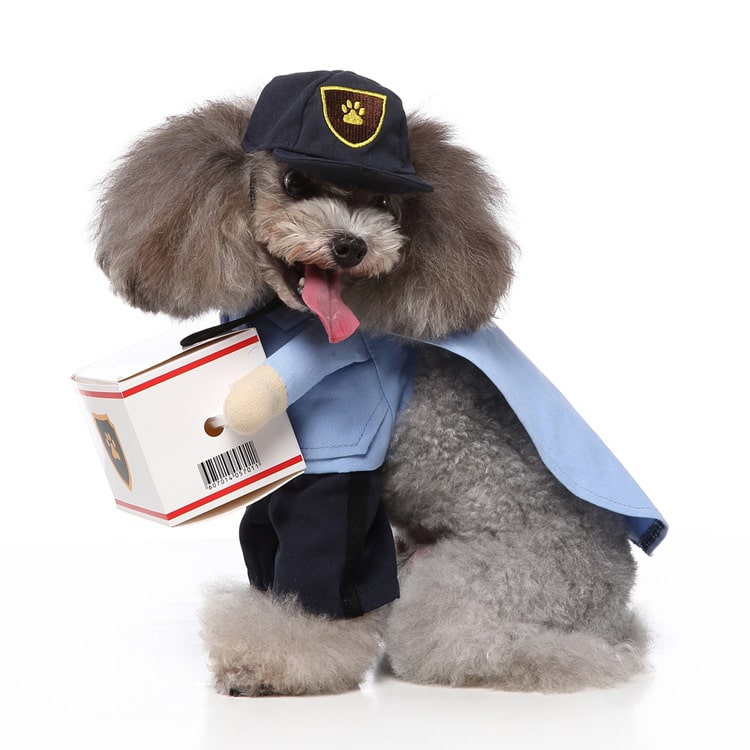 Delivery Driver Costume for Dogs and Cats Pet Halloween Outfit