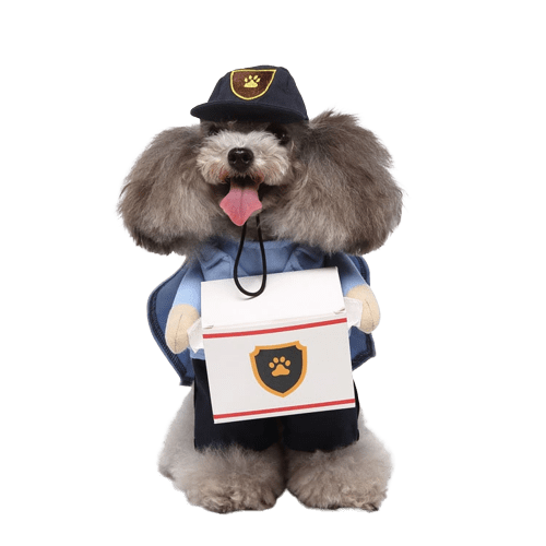 Delivery Driver Costume for Dogs and Cats Pet Halloween Outfit