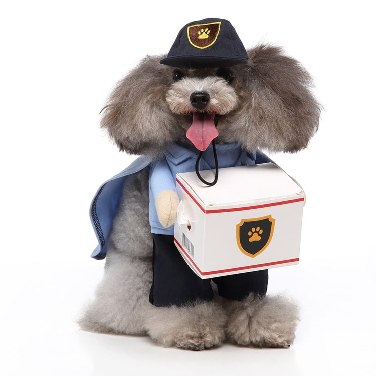 Delivery Driver Costume for Dogs and Cats Pet Halloween Outfit