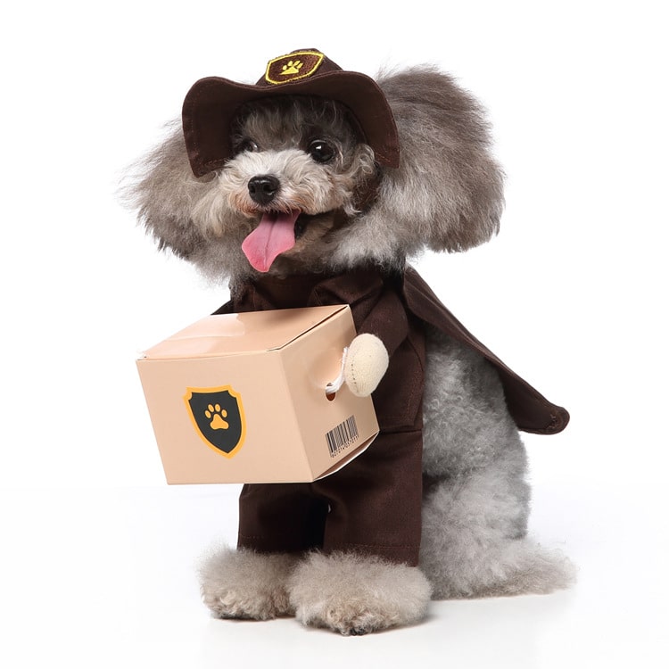 Pet Delivery Driver Costume for Dogs and Cats Package Carrier Outfit