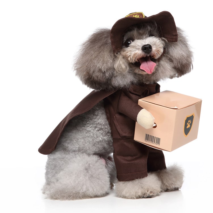 Pet Delivery Driver Costume for Dogs and Cats Package Carrier Outfit