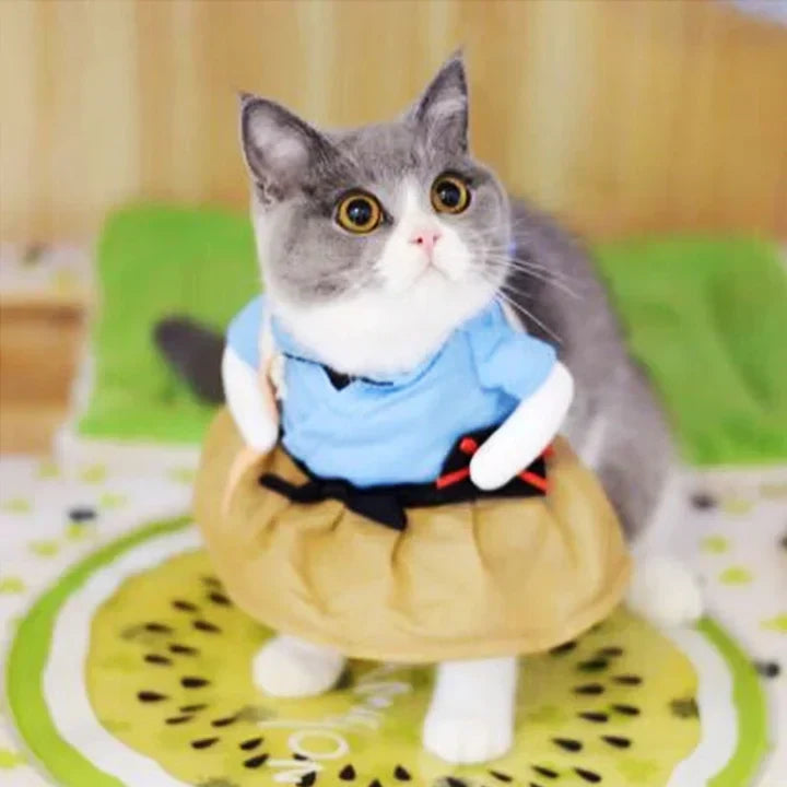 Samurai Costume for Cats and Dogs Pet Outfit Cosplay