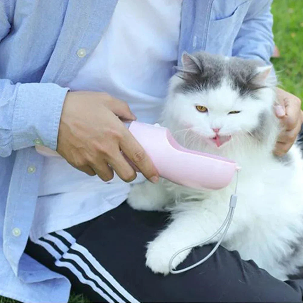 Cat Water Bottle