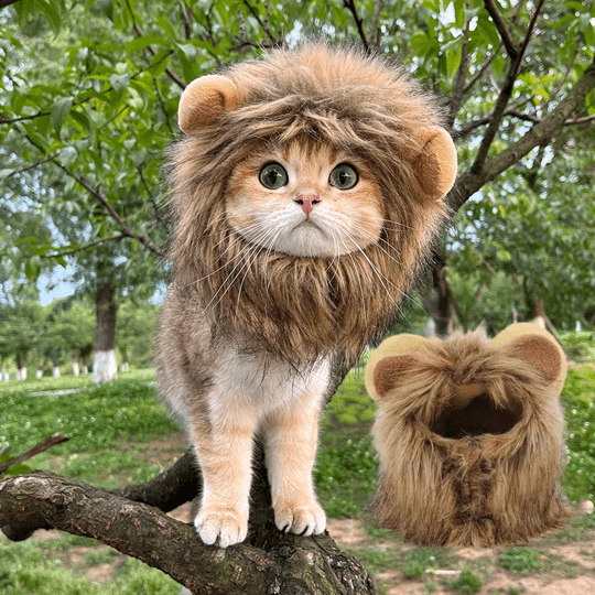 Lion Mane Wig Cat Costume Pet Halloween Dress Up