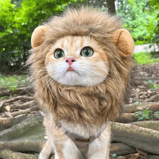 Lion Mane Wig Cat Costume Pet Halloween Dress Up