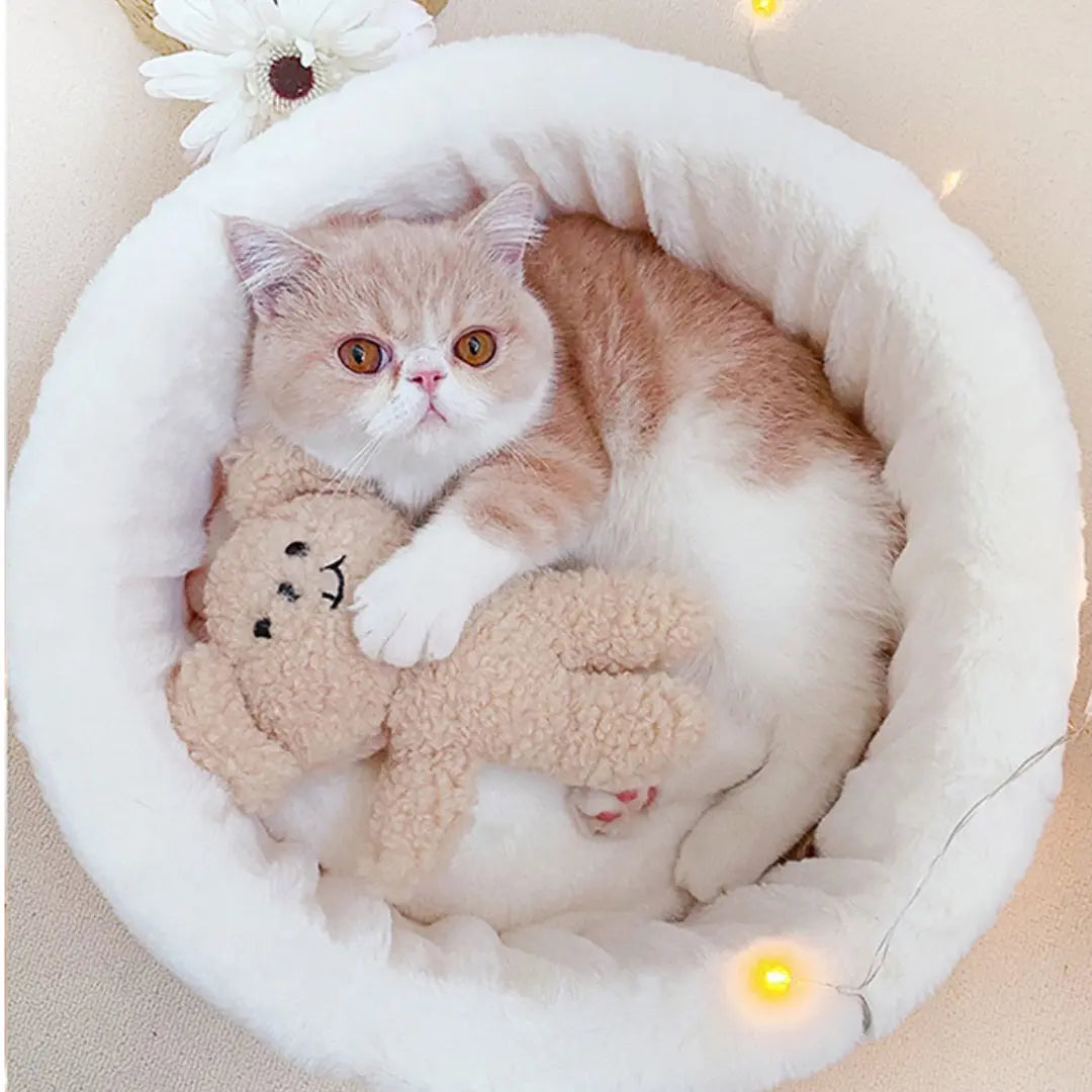 Japanese Style Cat Bed Cozy Cat House Cat Furniture Pet Sleeping Nook