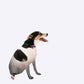 Car Dog Barrier Pet Car Seat Divider Adjustable Vehicle Safety Gate