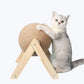 Cat Scratching Ball Toy Interactive Cat Scratcher Durable Play Ball for Cats