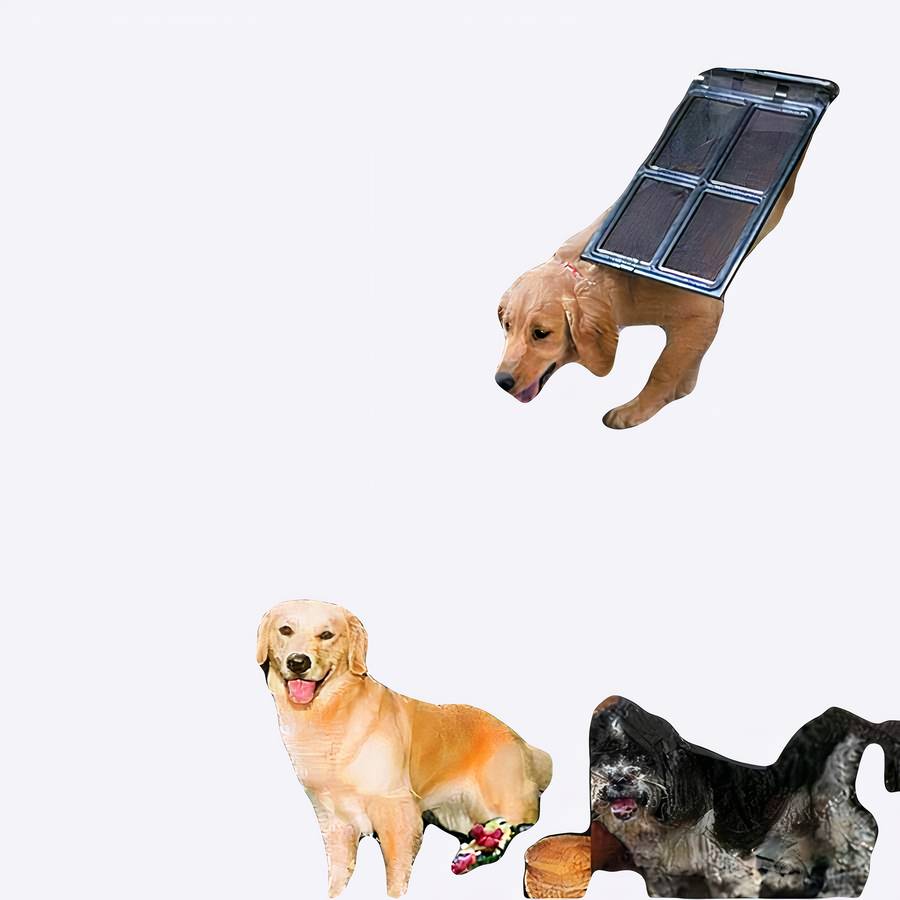 Pet Door for Cats and Dogs Easy Install Durable Pet Flap