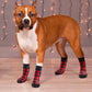 Non Slip Dog Socks Grippy Paw Protectors for Hardwood Floors