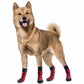 Non Slip Dog Socks Grippy Paw Protectors for Hardwood Floors