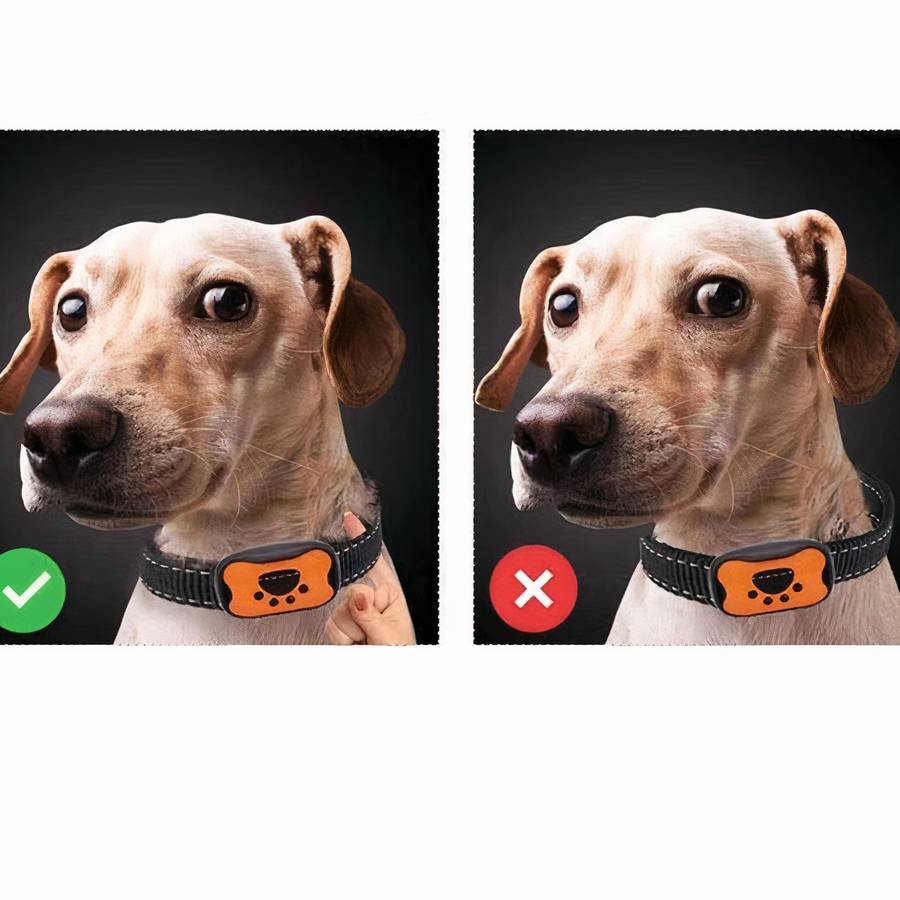 Dog Paw Pattern Anti Bark Collar for Dogs Barking Control