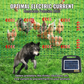 Electric Poultry Fence Kit 4ft x 168ft PE Mesh Netting with Posts and Double Pointed Stakes Portable Utility Chicken Fence Mesh