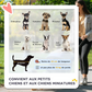 Dog Stroller with 4 Swivel Wheels Pet Jogger Cart for Small Medium Dogs