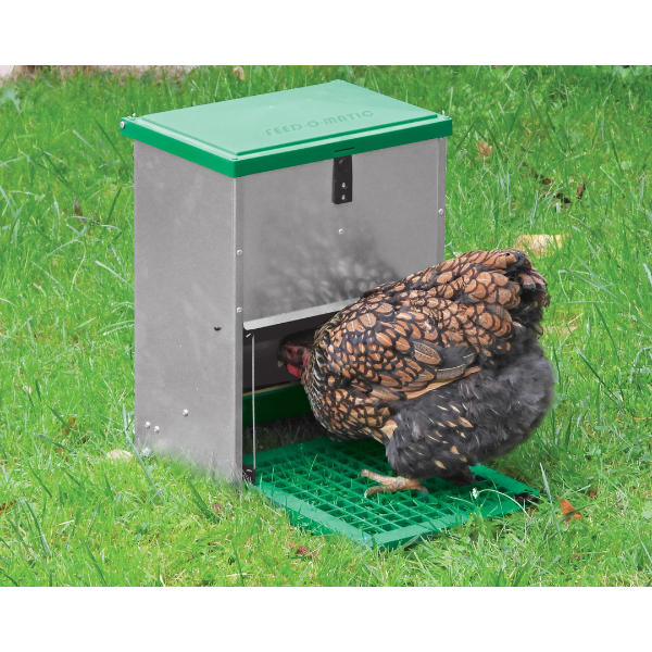 Adjustable Automatic Chicken Feeder with Pest Proof Design 5kg Capacity