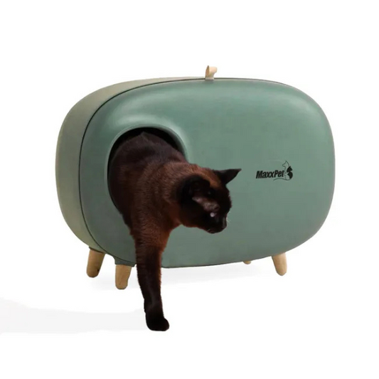 Cat Litter Box 24x15x18 Inches Closed Enclosed Cat Toilet House with Lid