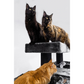 Giant XXL Cat Tree 48 x 176 cm Cat Tower Scratching Post Play Center