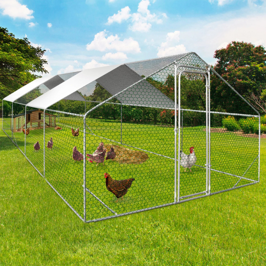 Chicken Coop Run 258 Sq Ft Chicken Enclosure Galvanized Steel Backyard Poultry Pen