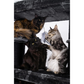 Giant XXL Cat Tree 48 x 176 cm Cat Tower Scratching Post Play Center