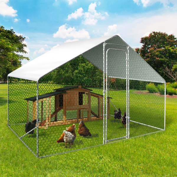 6 Sq Ft Chicken Coop Enclosure 3x2 Ft Galvanized Steel Wire Mesh Run
