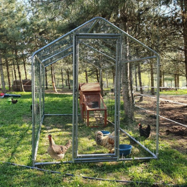 8ft x 25ft Reinforced Chicken Coop Run 32mm Tubing 7ft 4in Height Galvanized Steel Wire Mesh Enclosure