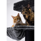 Giant XXL Cat Tree 48 x 176 cm Cat Tower Scratching Post Play Center