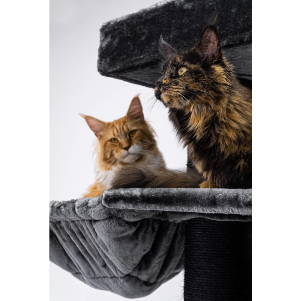 Giant XXL Cat Tree 48 x 176 cm Cat Tower Scratching Post Play Center