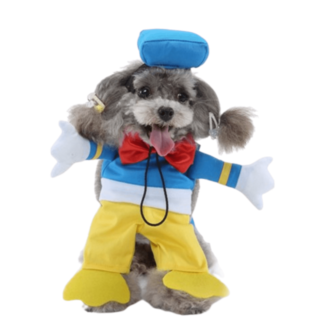 Donald Pet Costume for Cats and Dogs Cute Pet Outfit for Halloween and Parties