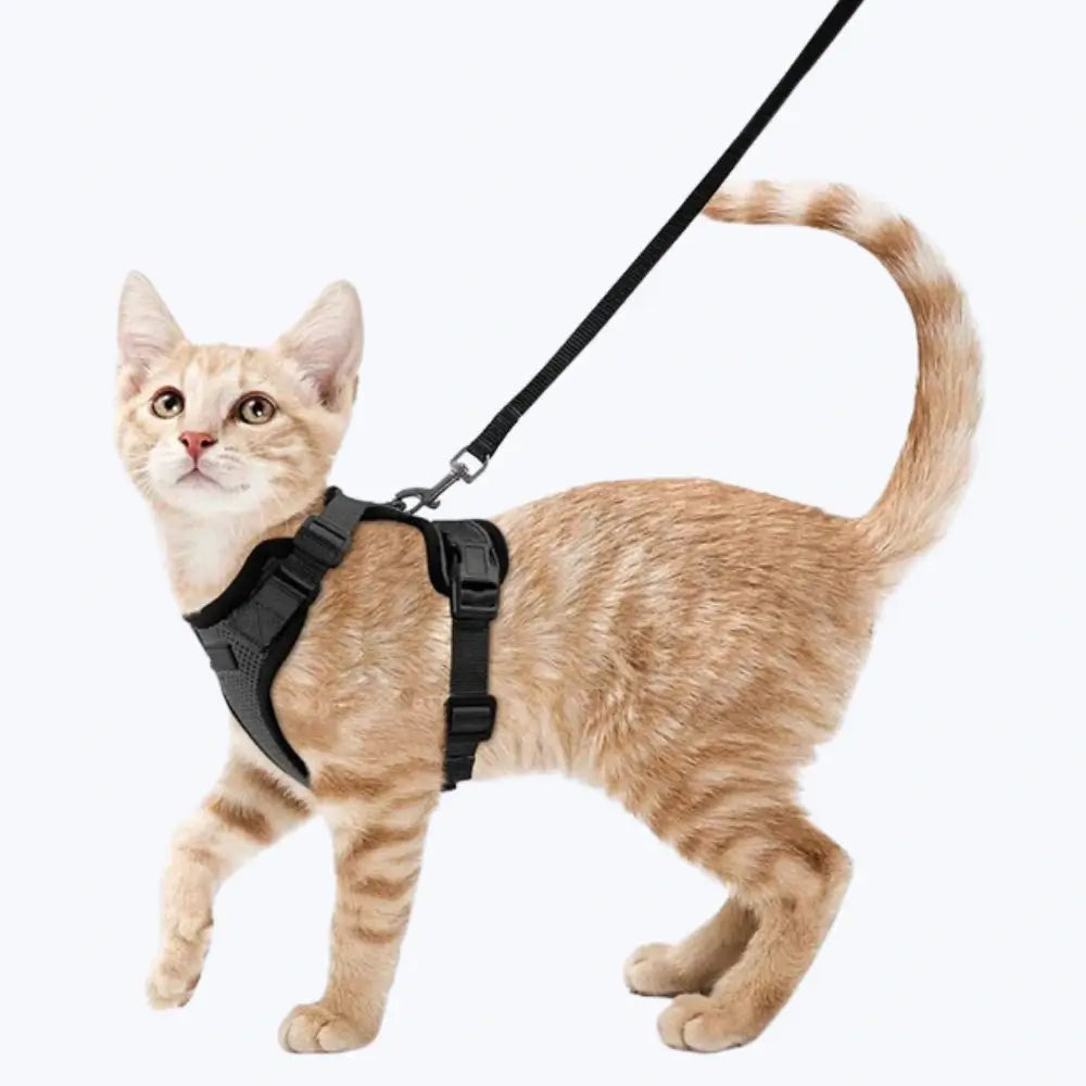 Escape Proof Cat Harness Adjustable No Escape Kitten Harness with Leash