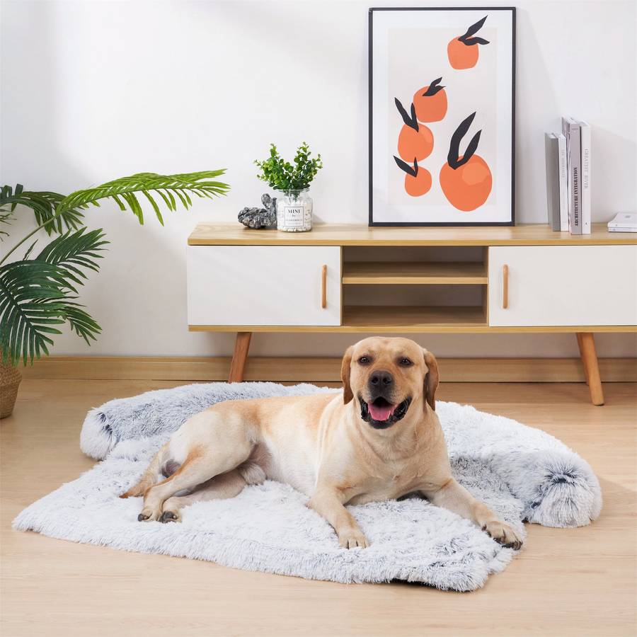 Ultra Comfortable New Generation Dog Bed