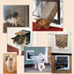 Dog Flap Door Pet Access Door for Dogs with Lockable Panel