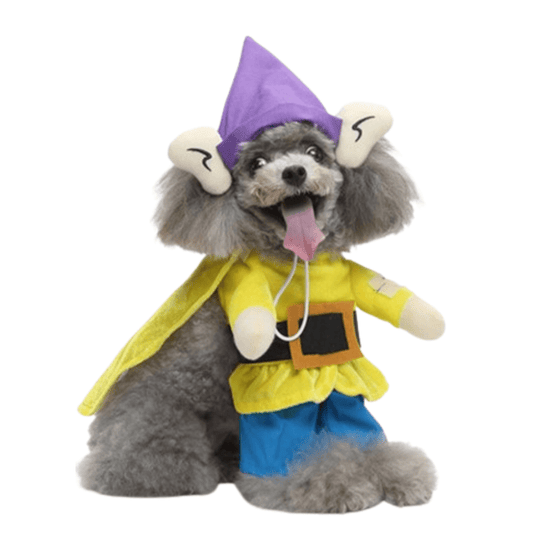 Simple Cat and Dog Costume Pet Halloween Outfit