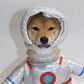 Astronaut Pet Costume for Cats and Dogs Space Outfit