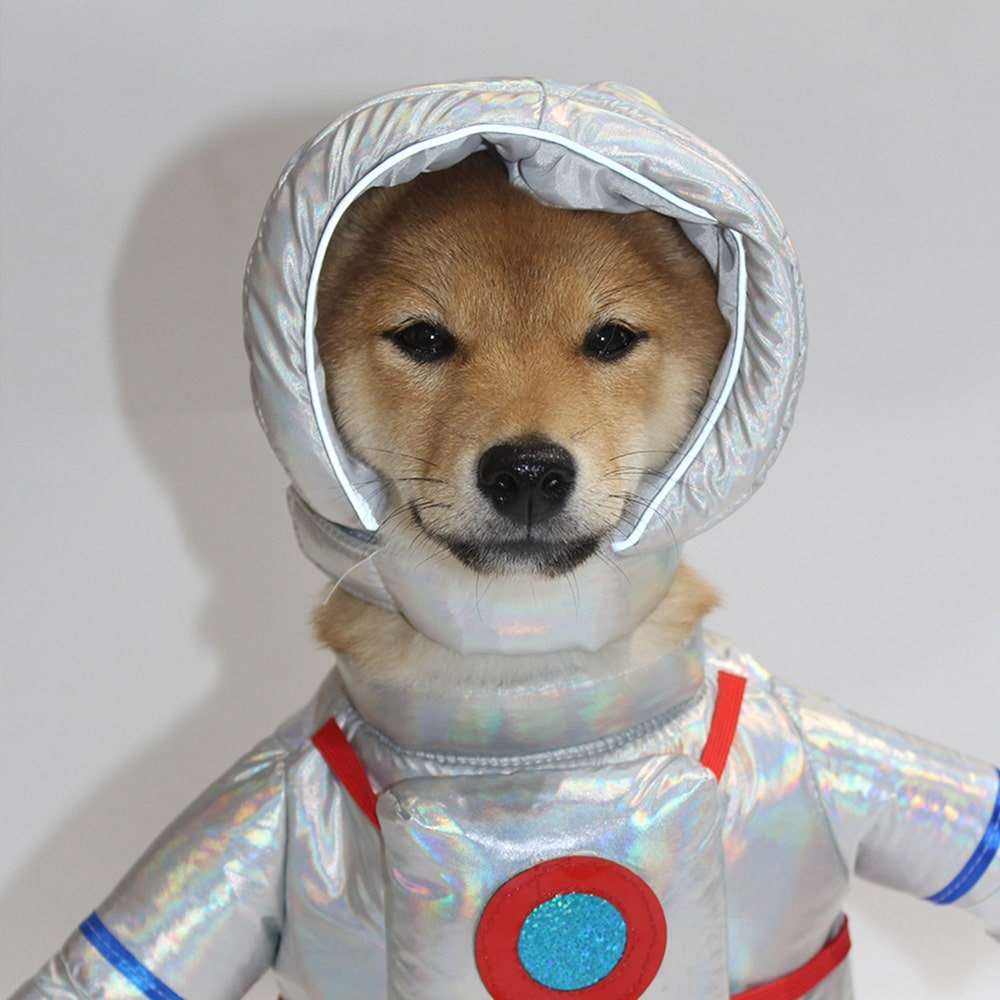 Astronaut Pet Costume for Cats and Dogs Space Outfit